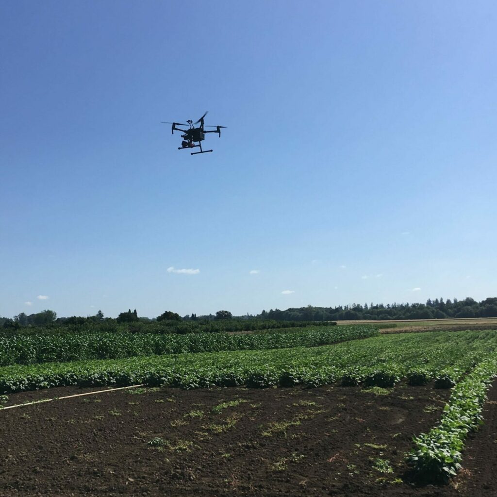 Dron unosi się nad rozległą działką prezentując widok z lotu ptaka na cały teren