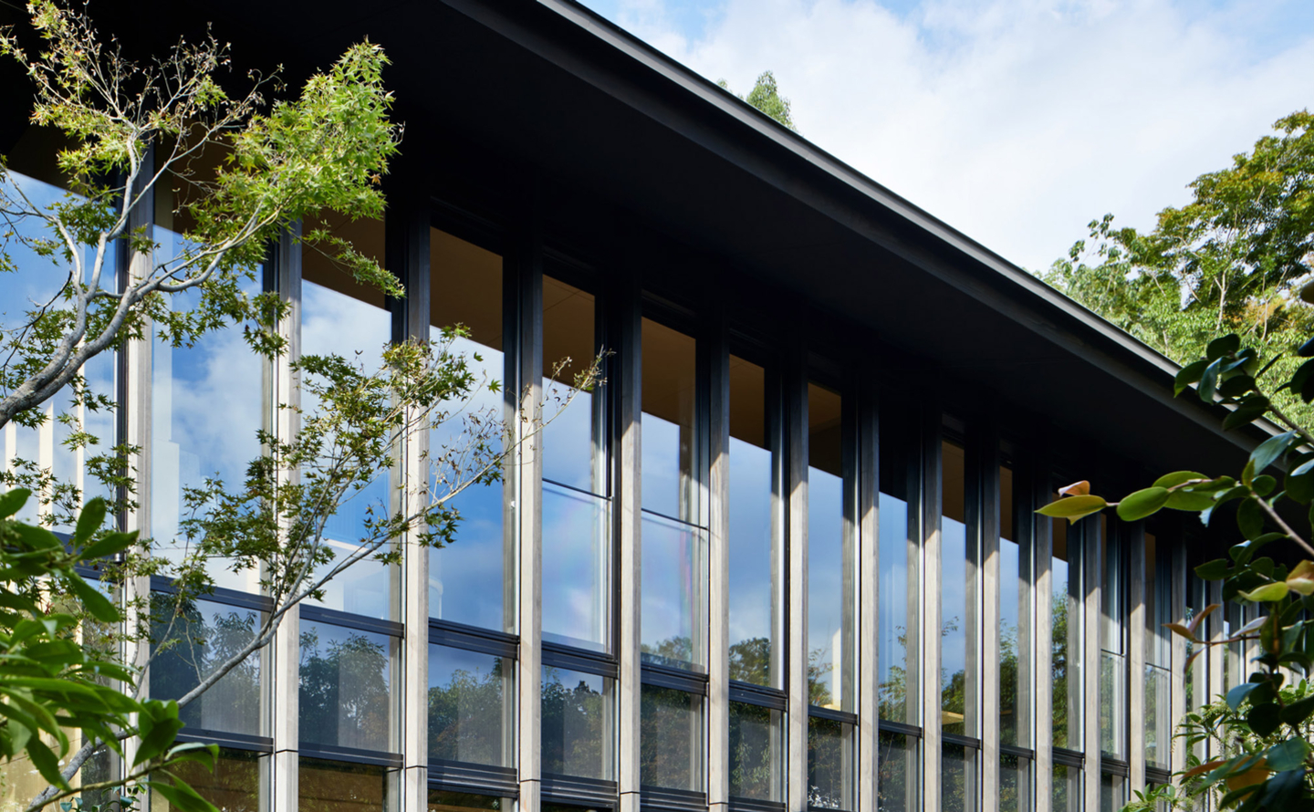 Kuchnia skierowana na wschód z porannym światłem wpadającym przez duże okna